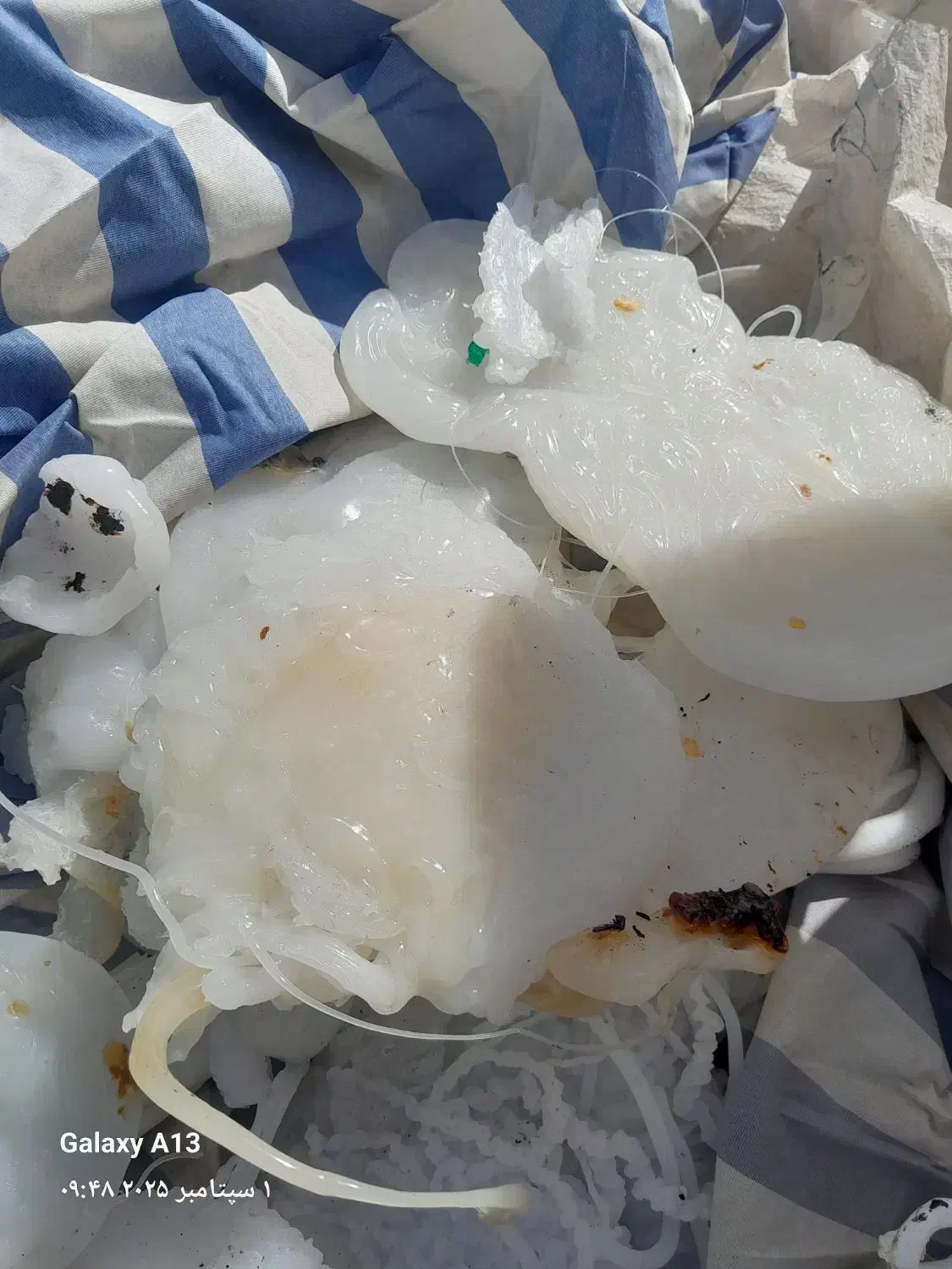 خرید فروش ضایعات پلاستیک|عمده‌فروشی|تهران, سازمان آب|دیوار