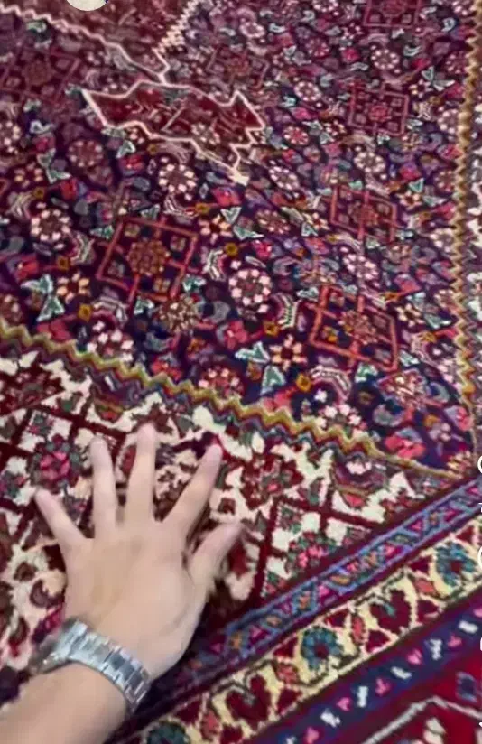 فرش دستباف تبریز ماهی12متری|فرش|تبریز, |دیوار