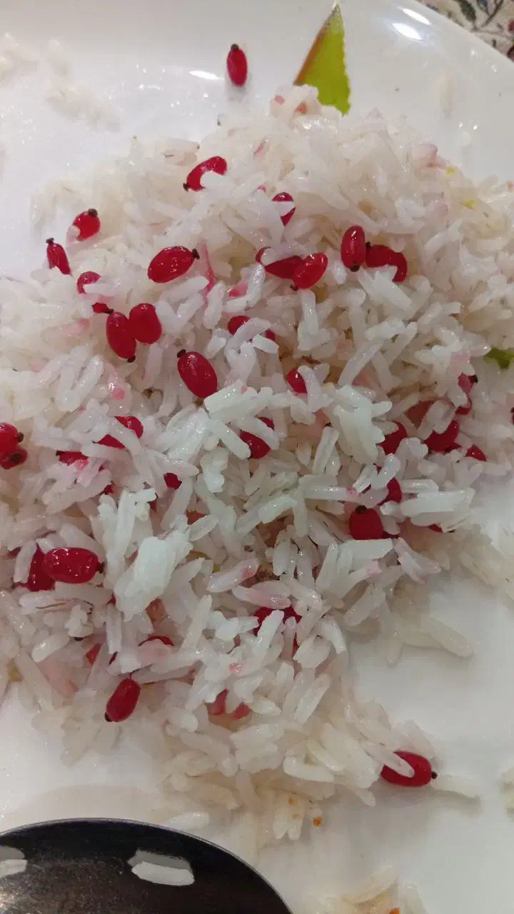 زرشک خیس پنج شنبه در قم|خوردنی و آشامیدنی|قم, باغ شریفی|دیوار