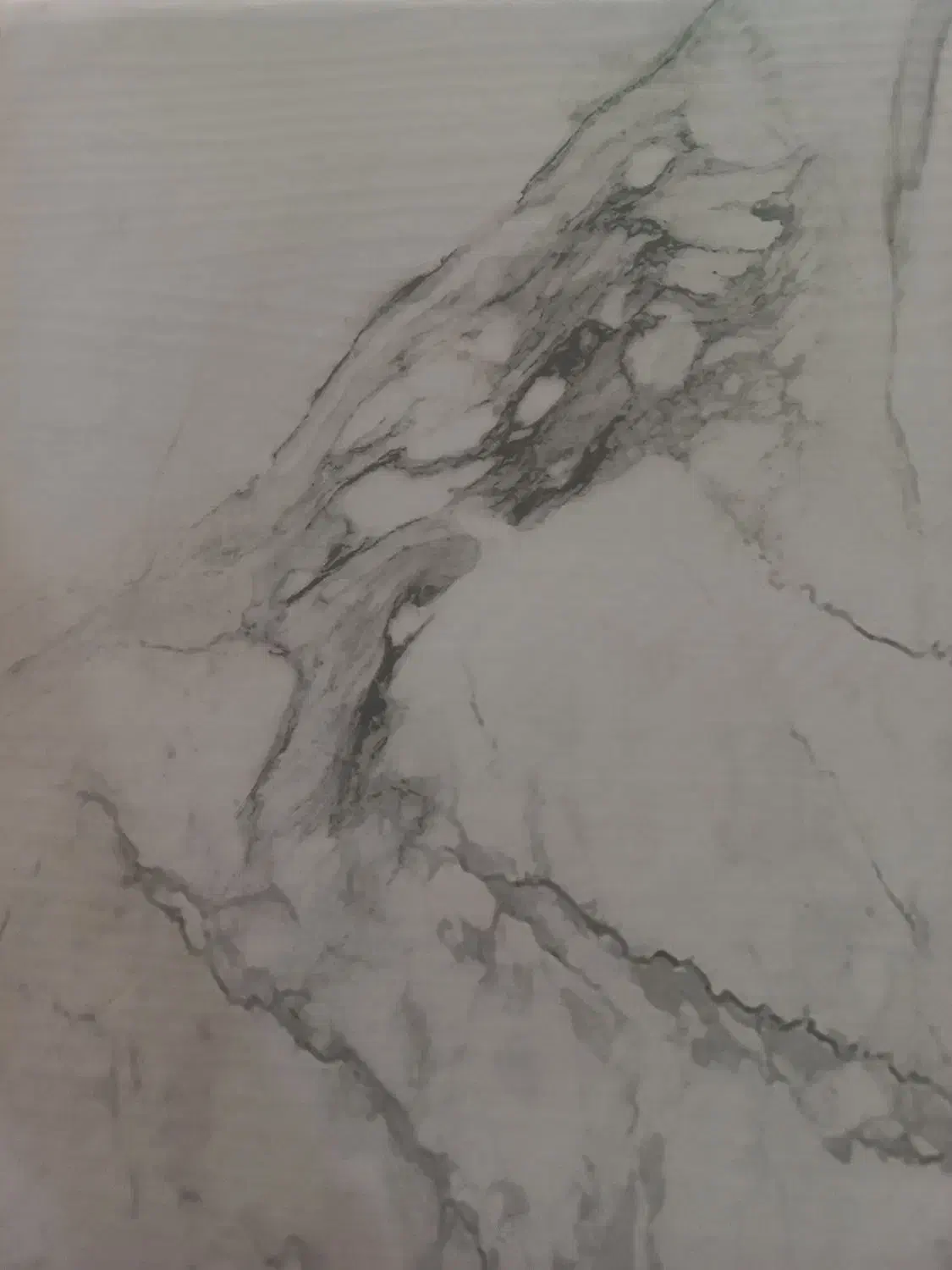 اجاره یک باب سوله|اجارهٔ دفتر صنعتی، کشاورزی، تجاری|رفسنجان, |دیوار