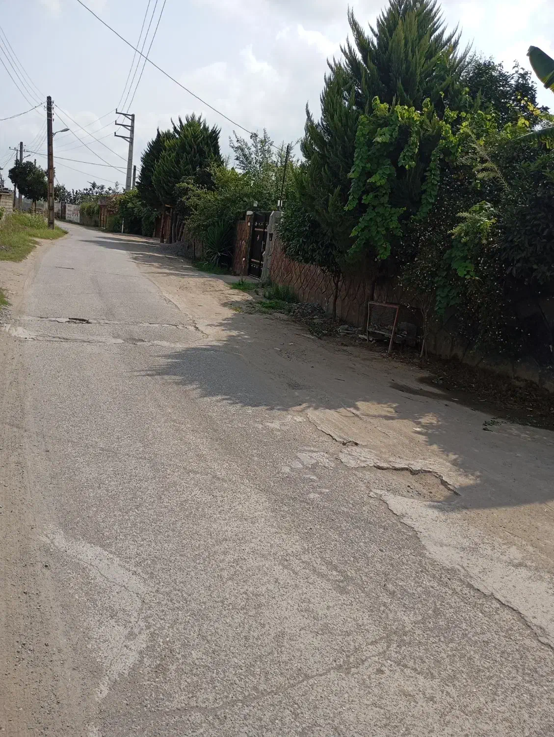 زمین به قیمت|فروش زمین و ملک کلنگی|دابودشت, |دیوار