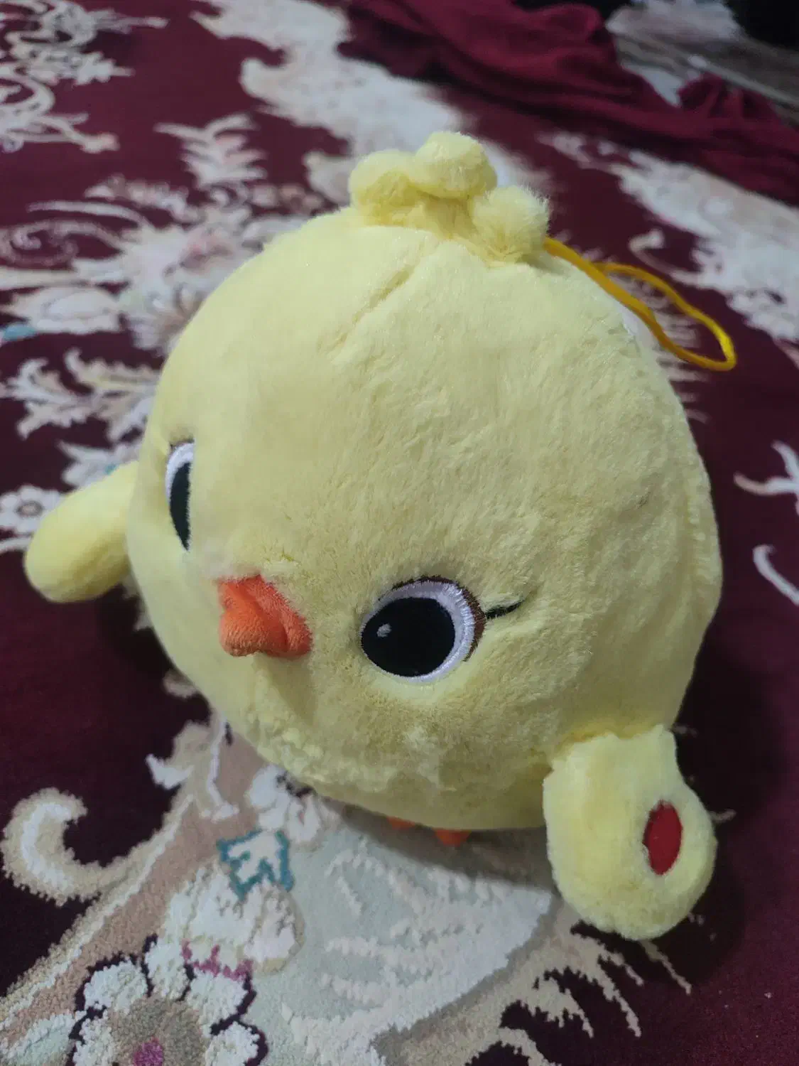 خروس گمشده|حیوانات|میانه, |دیوار