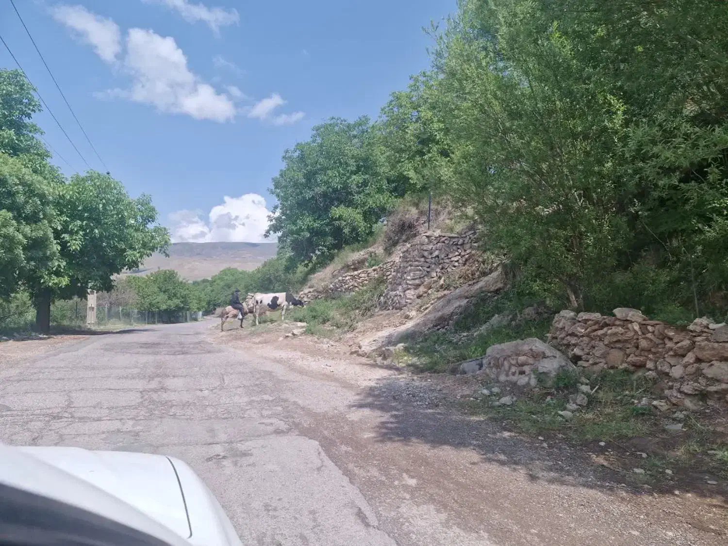 زمین داخل بافت وجواز|فروش زمین و ملک کلنگی|هشتگرد, فشند|دیوار