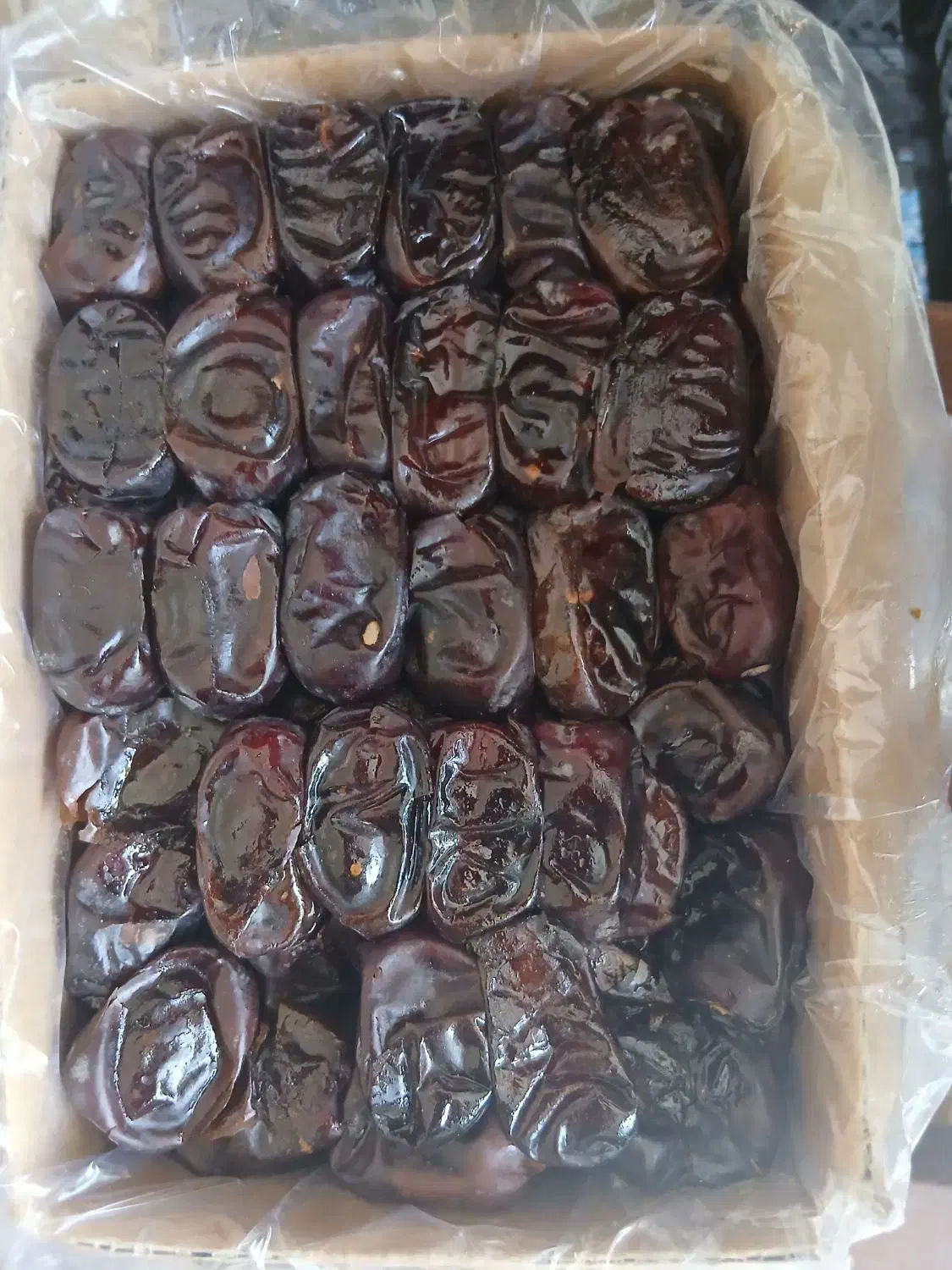 خرما مضافتی|خوردنی و آشامیدنی|قم, پردیسان|دیوار