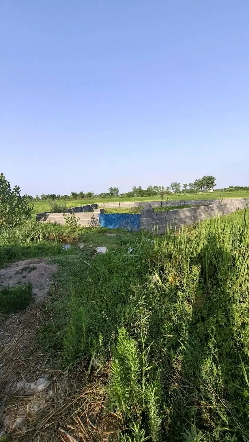 زمین کاسبی می خوای این زمین رو از دست نده|فروش زمین و ملک کلنگی|رشت, بازار|دیوار