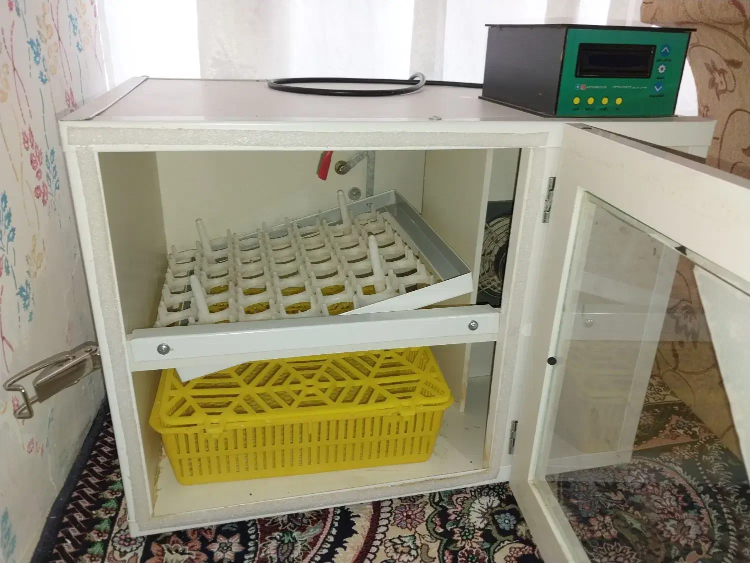 دستگاه جوجه کشی|لوازم جانبی حیوانات|گرمی, |دیوار