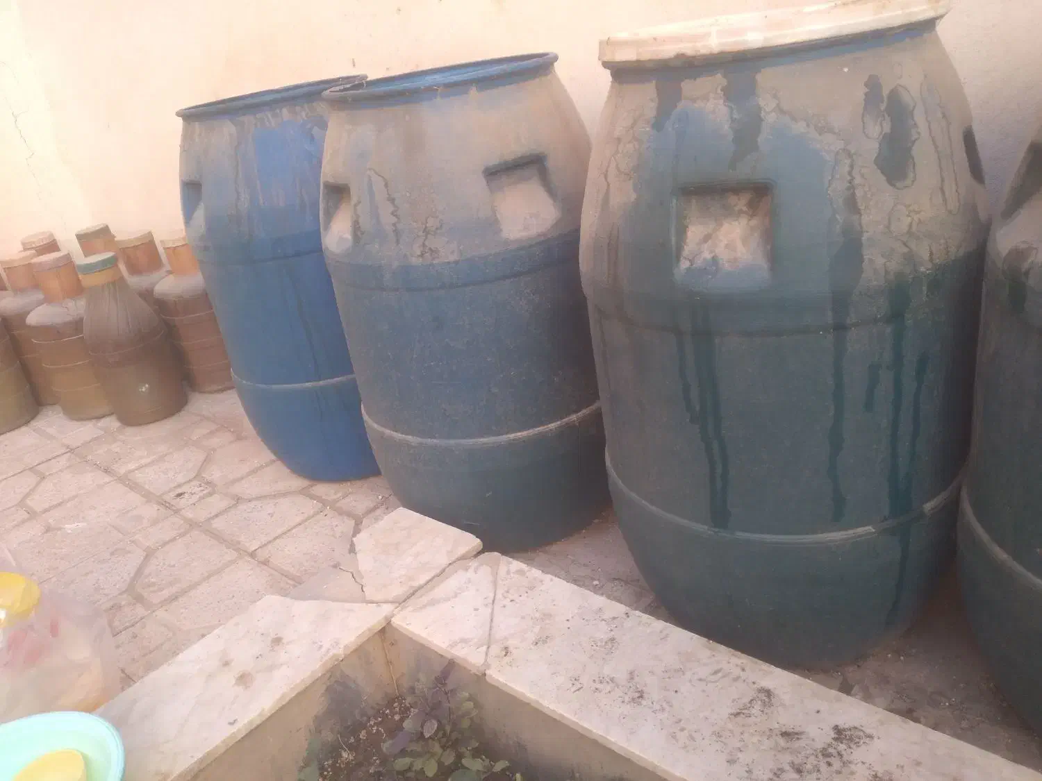 سیر ترشی ۷ ساله|خوردنی و آشامیدنی|زرندیه, |دیوار