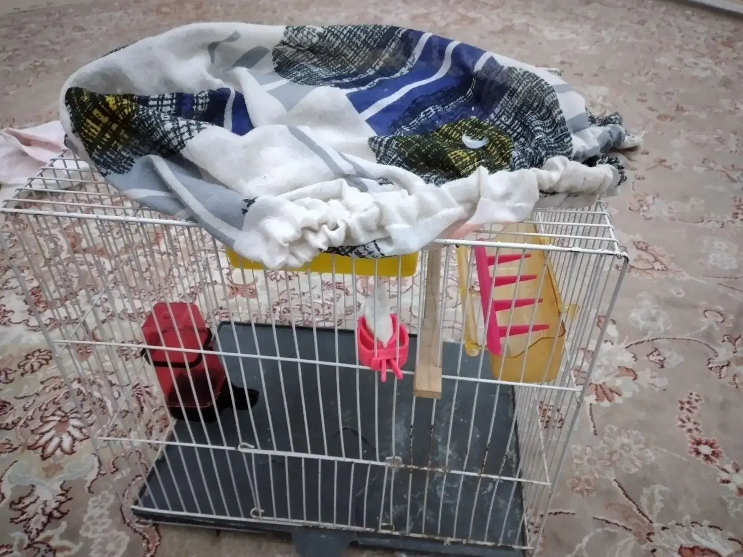 قفس|لوازم جانبی حیوانات|قوچان, |دیوار