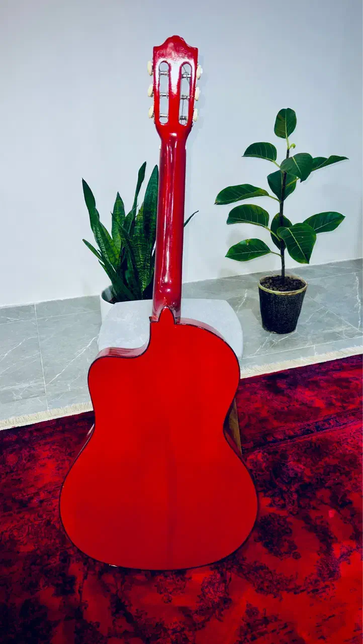 گیتار خوشرنگ اورجینال|گیتار، بیس، امپلیفایر|بجنورد, |دیوار