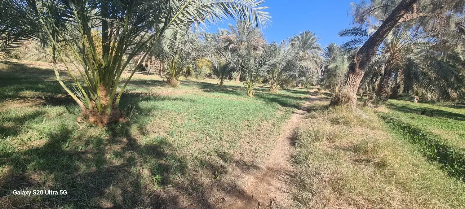 فروش اب کشاورزی|فروش دفتر صنعتی، کشاورزی، تجاری|سیب و سوران, |دیوار