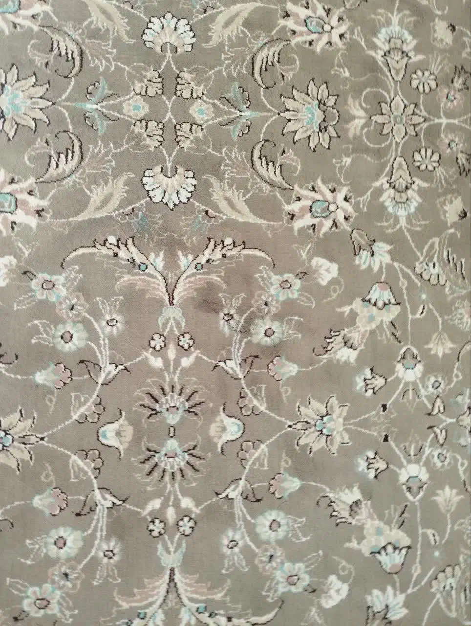 فردش فرش|فرش|اردکان, |دیوار