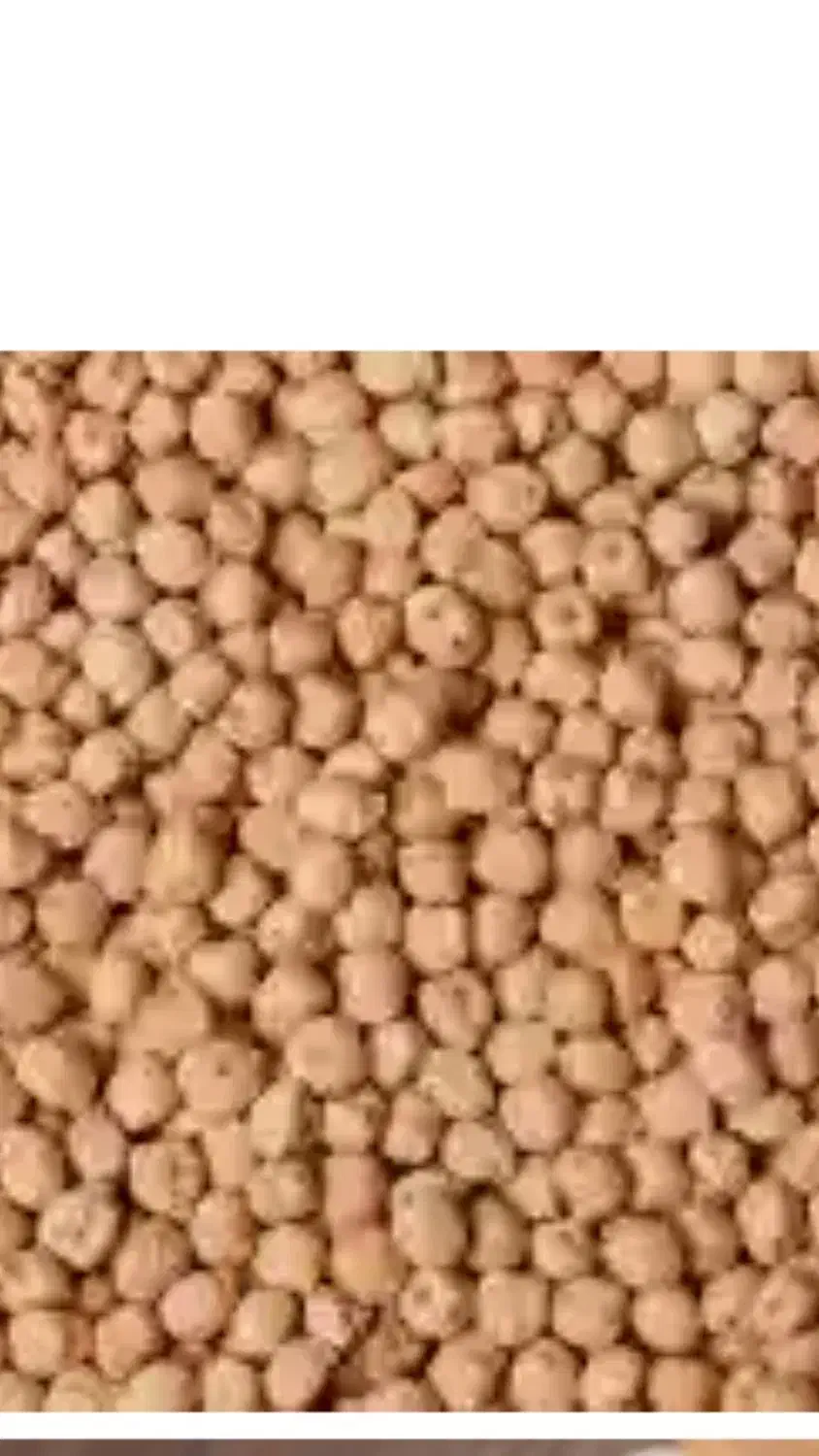 نخود|خوردنی و آشامیدنی|سردرود, |دیوار