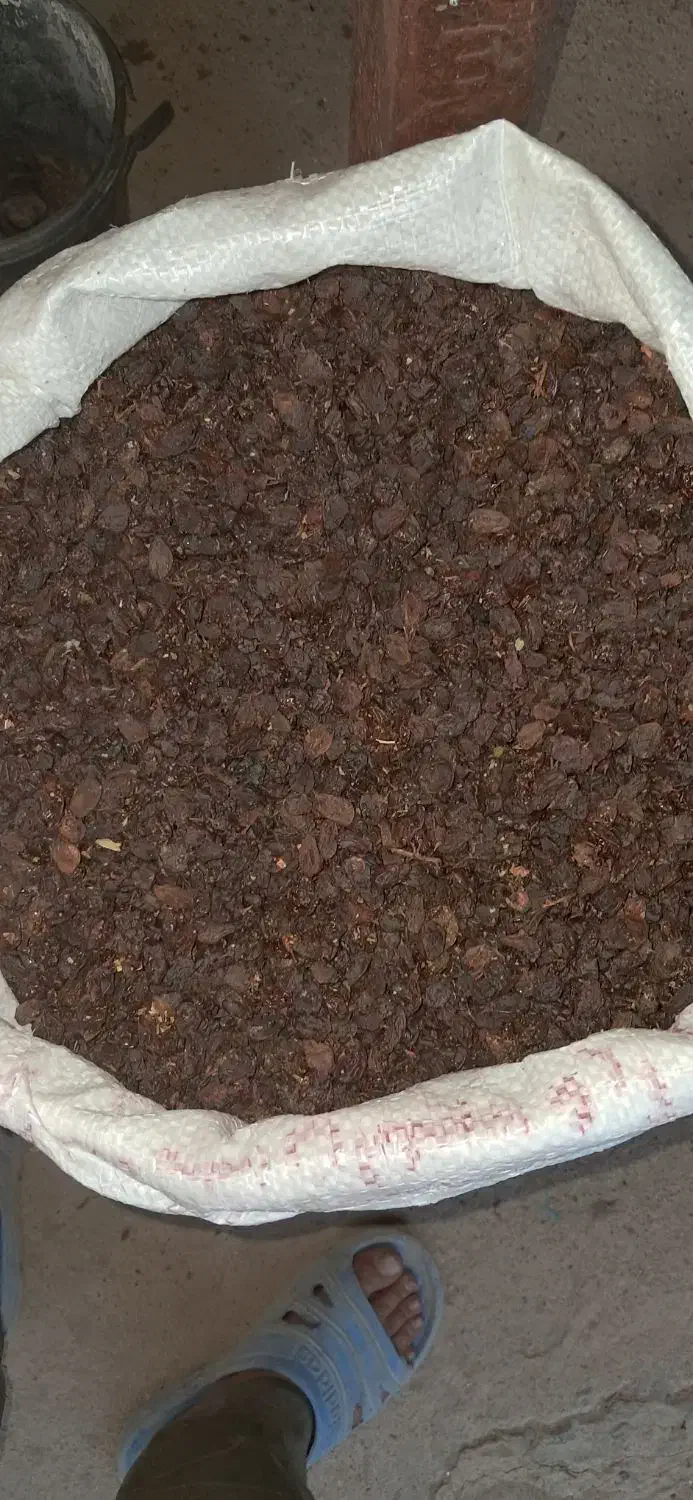 کشمش و مویز|خوردنی و آشامیدنی|بیضا, |دیوار