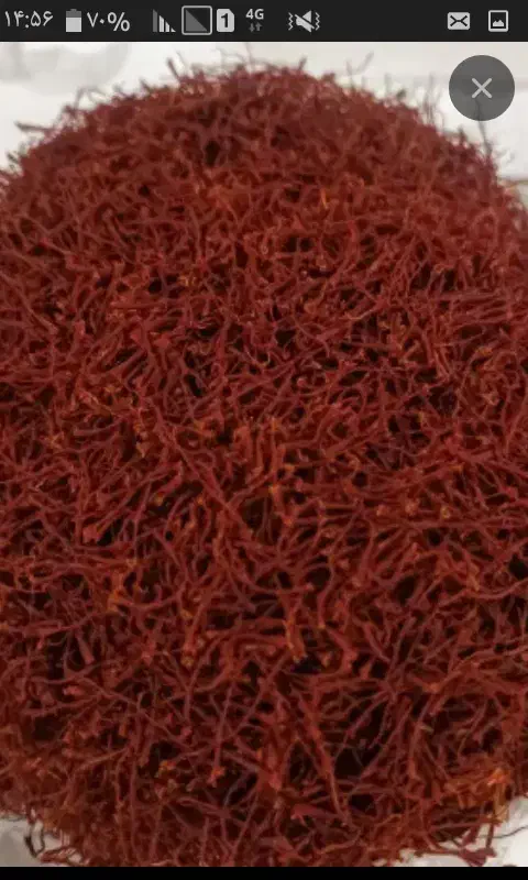 زعفران نگین|حراج|زبرخان, |دیوار