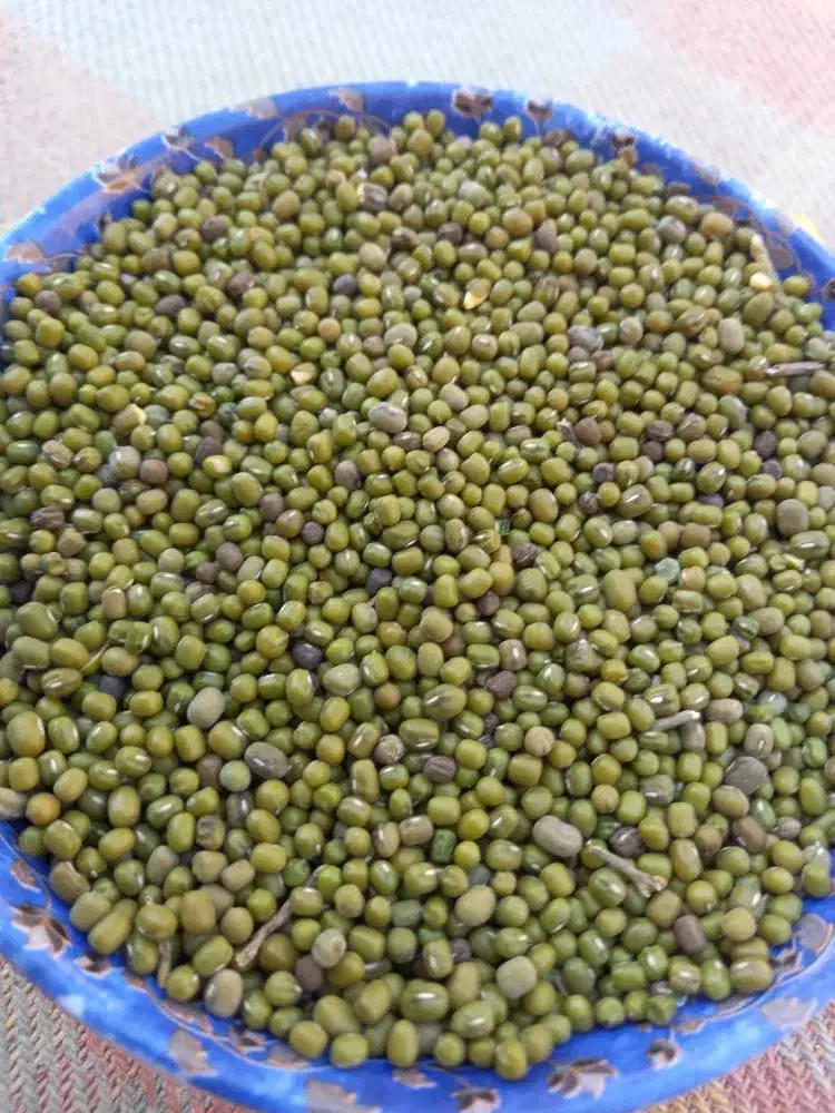 ماش عمرانی تمیز|خوردنی و آشامیدنی|باوی, |دیوار