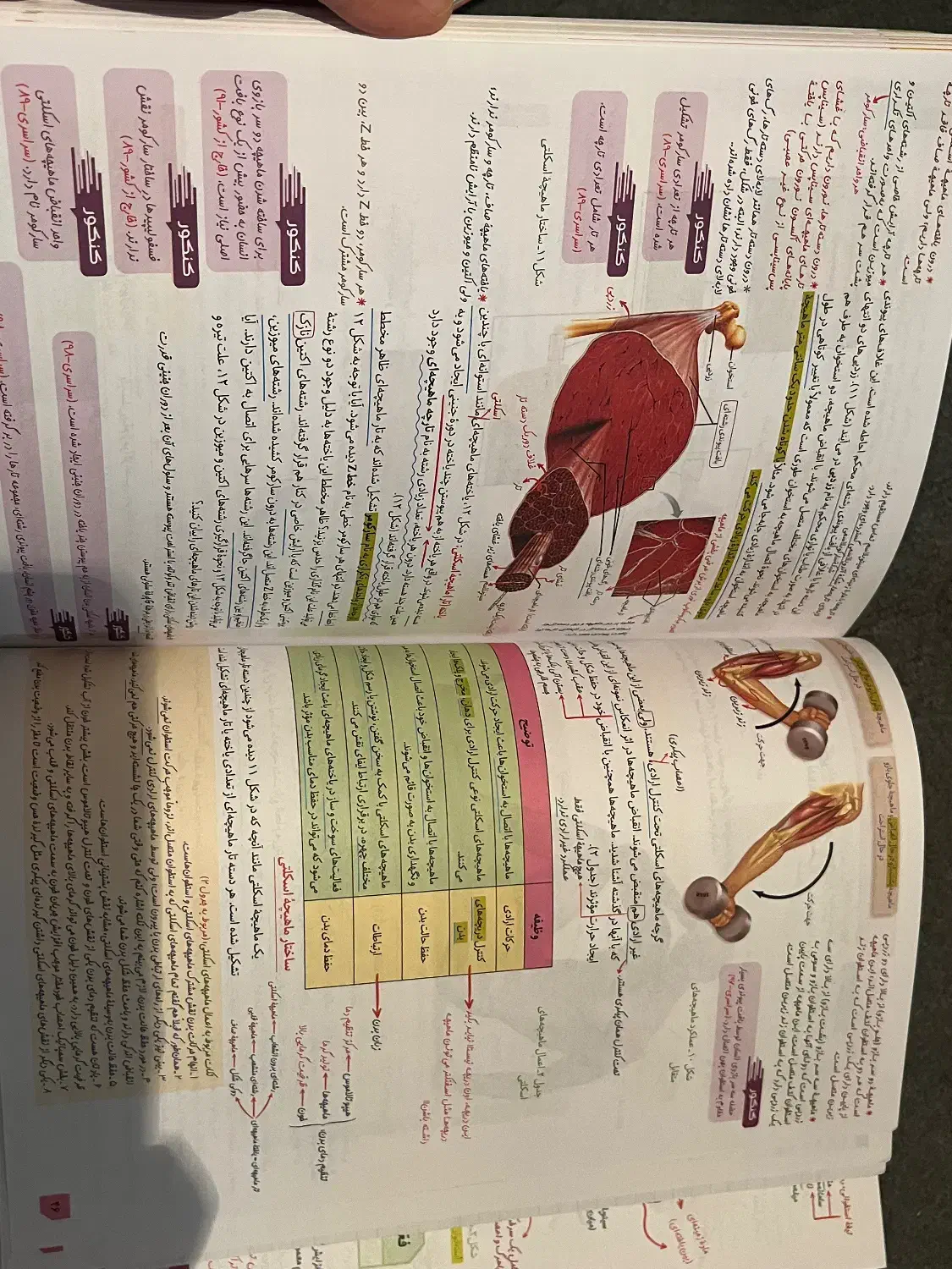 زیست یازدهم زیر ذره بین|کتاب و مجله آموزشی|بروجرد, |دیوار