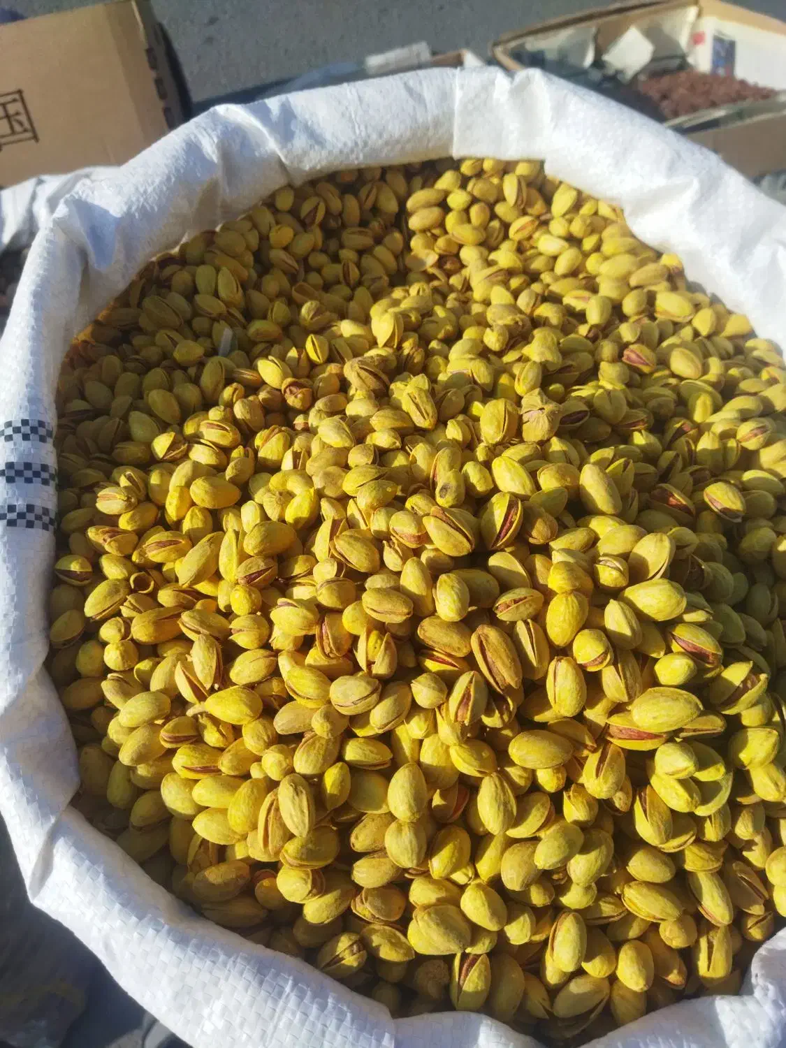 پسته رفنجان|خوردنی و آشامیدنی|سنندج, |دیوار