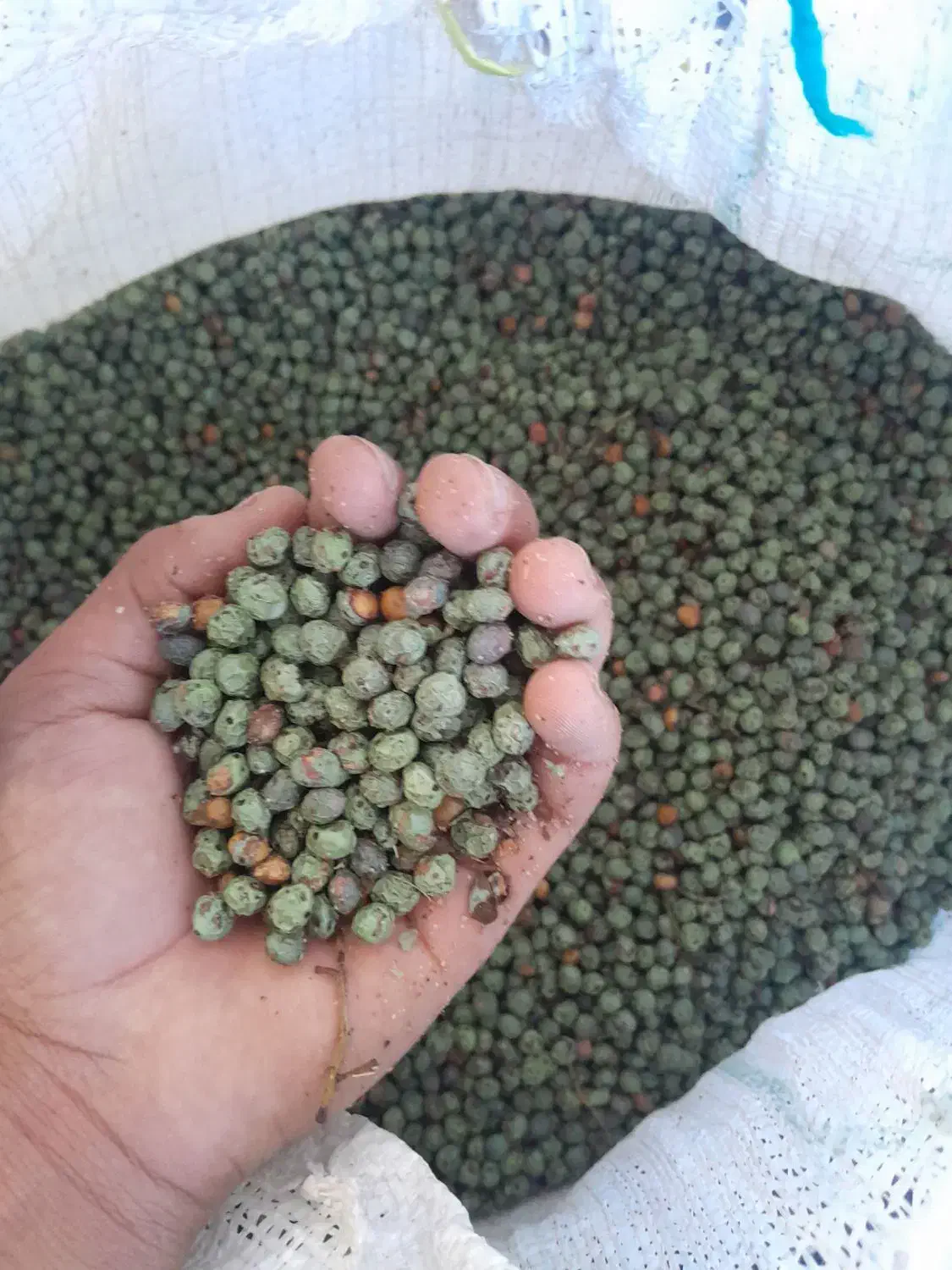 بن درجه یک|خوردنی و آشامیدنی|مسجد سلیمان, |دیوار