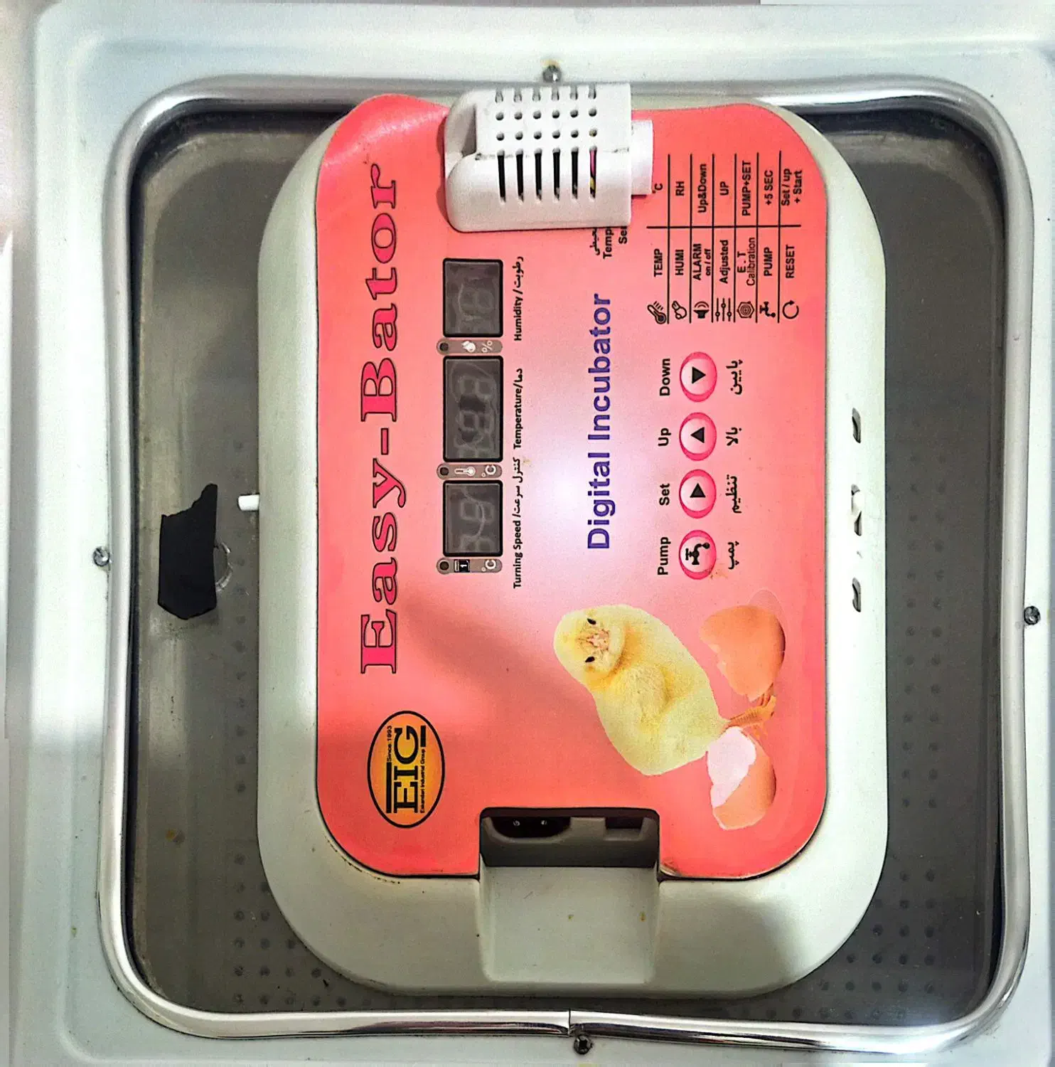 دستگاه جوجه کشی|لوازم جانبی حیوانات|اسالم, |دیوار