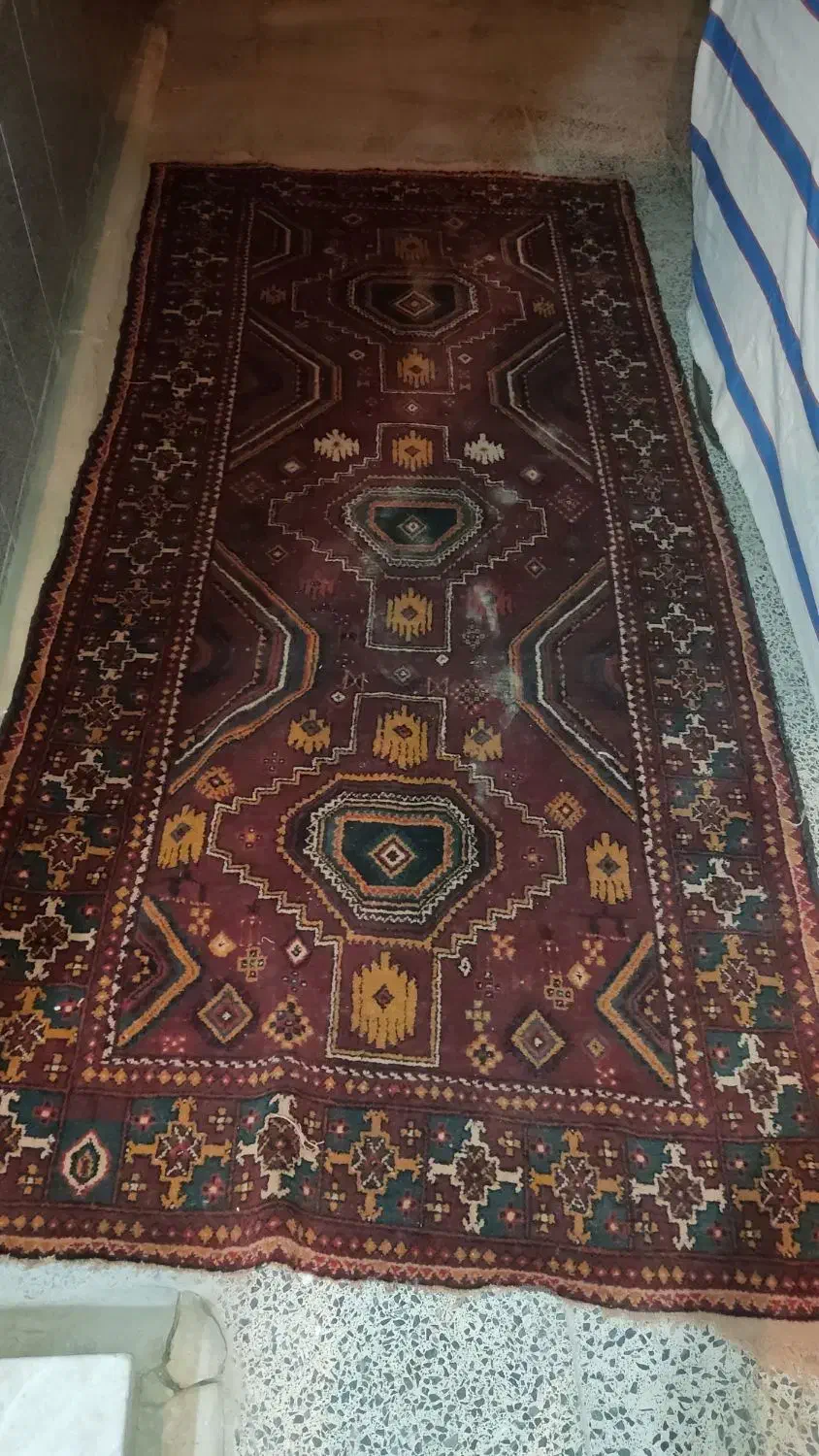 فرش دستبافت|فرش|زابل, |دیوار