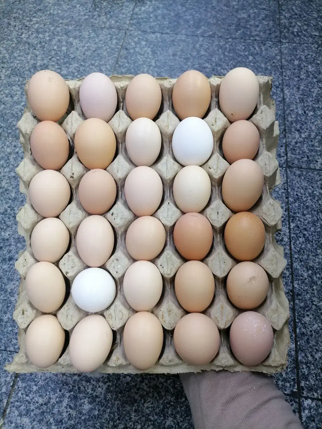 تخم مرغ محلی گلپایگان|خوردنی و آشامیدنی|قم, عمار یاسر|دیوار