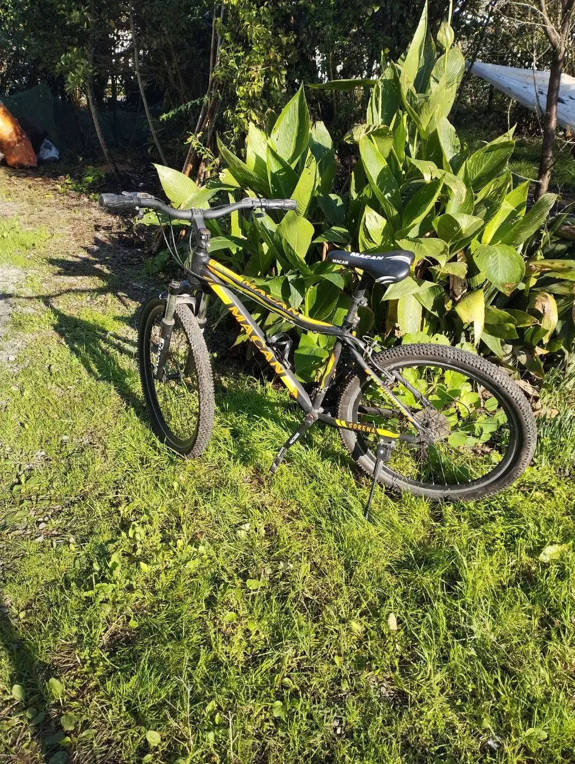 دوچرخه تمام حرفه ای سایز۲۶|دوچرخه، اسکیت، اسکوتر|لاهیجان, شیشه گران|دیوار