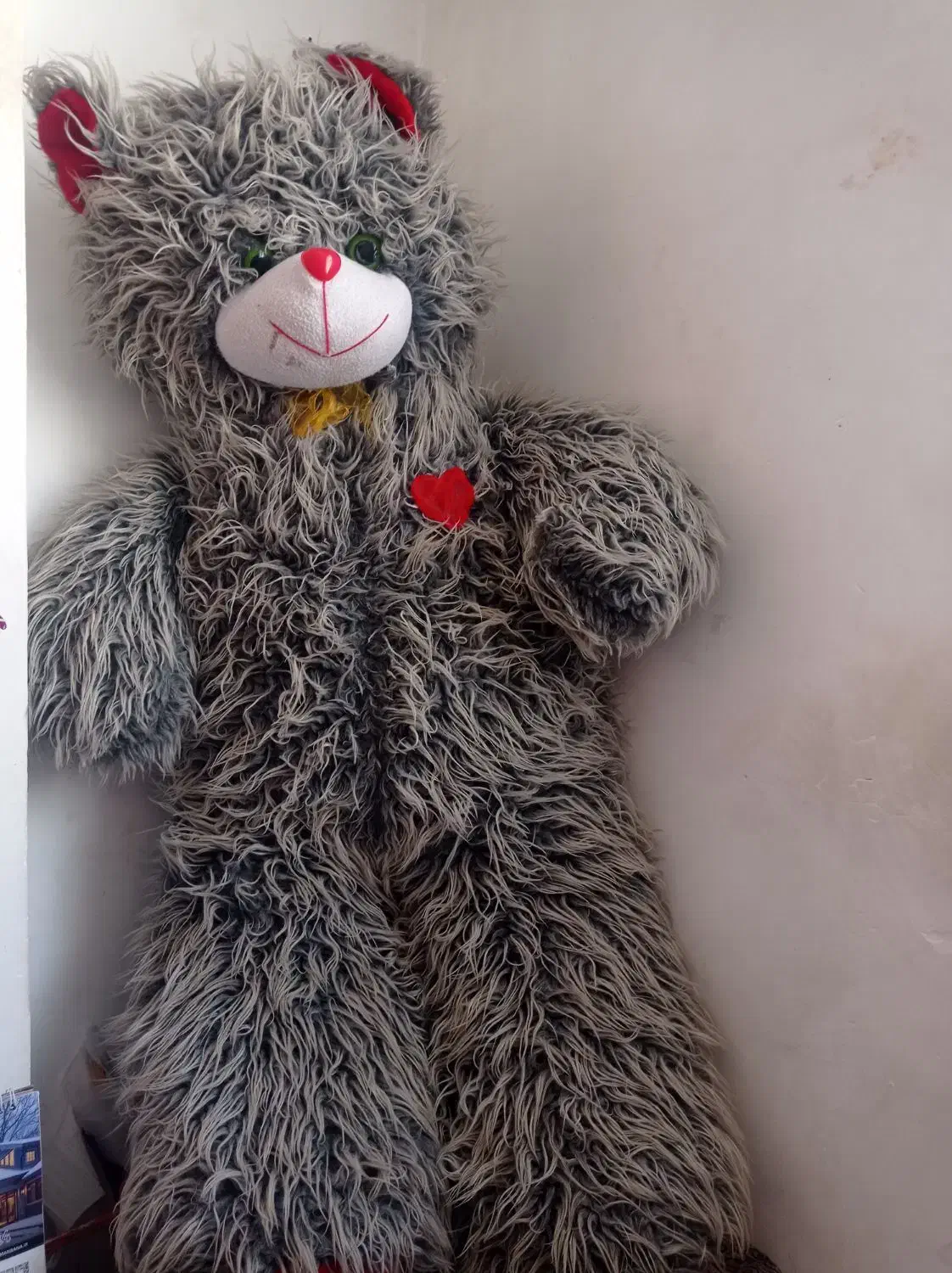 عروسک|اسباب‌‌بازی|زنجان, |دیوار