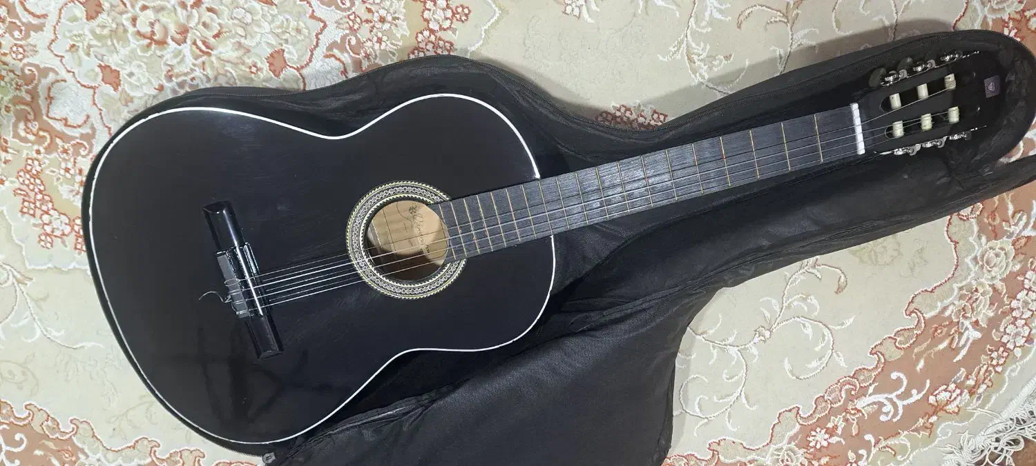 گیتار دیاموند|گیتار، بیس، امپلیفایر|شهرکرد, |دیوار