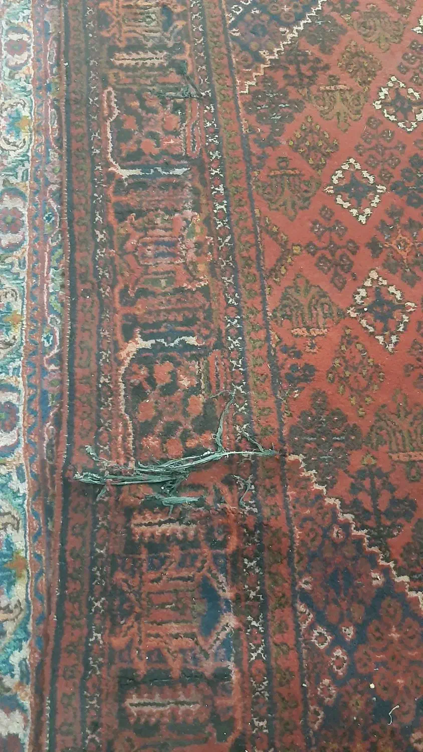 فرش دستبافت|فرش|قم, عربستان|دیوار