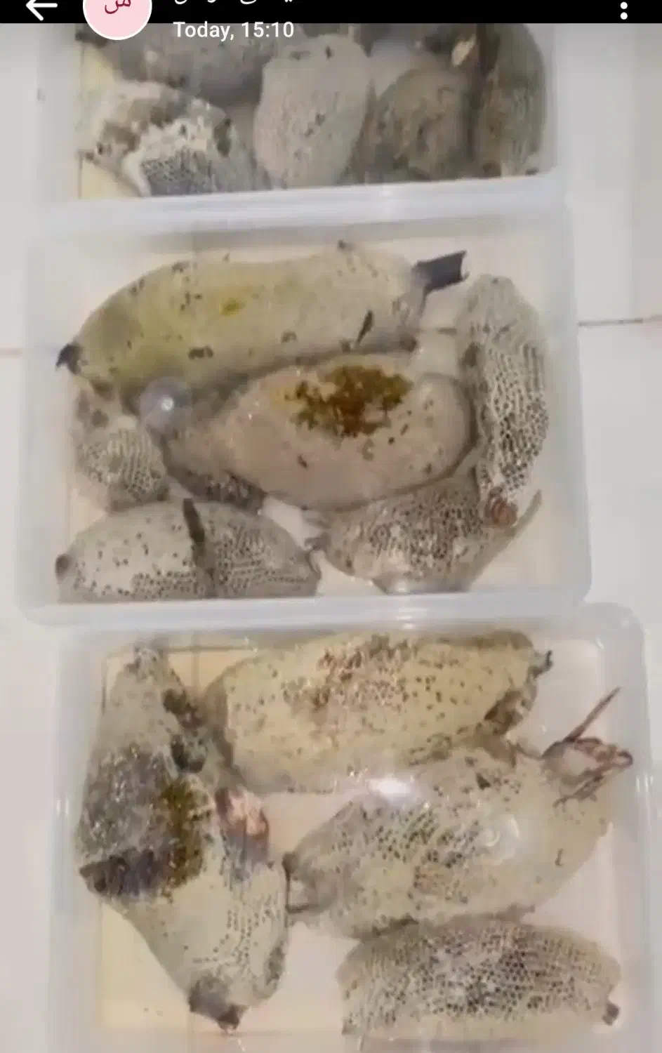 عسل طبیعی وحشی|خوردنی و آشامیدنی|تهران, دولاب|دیوار