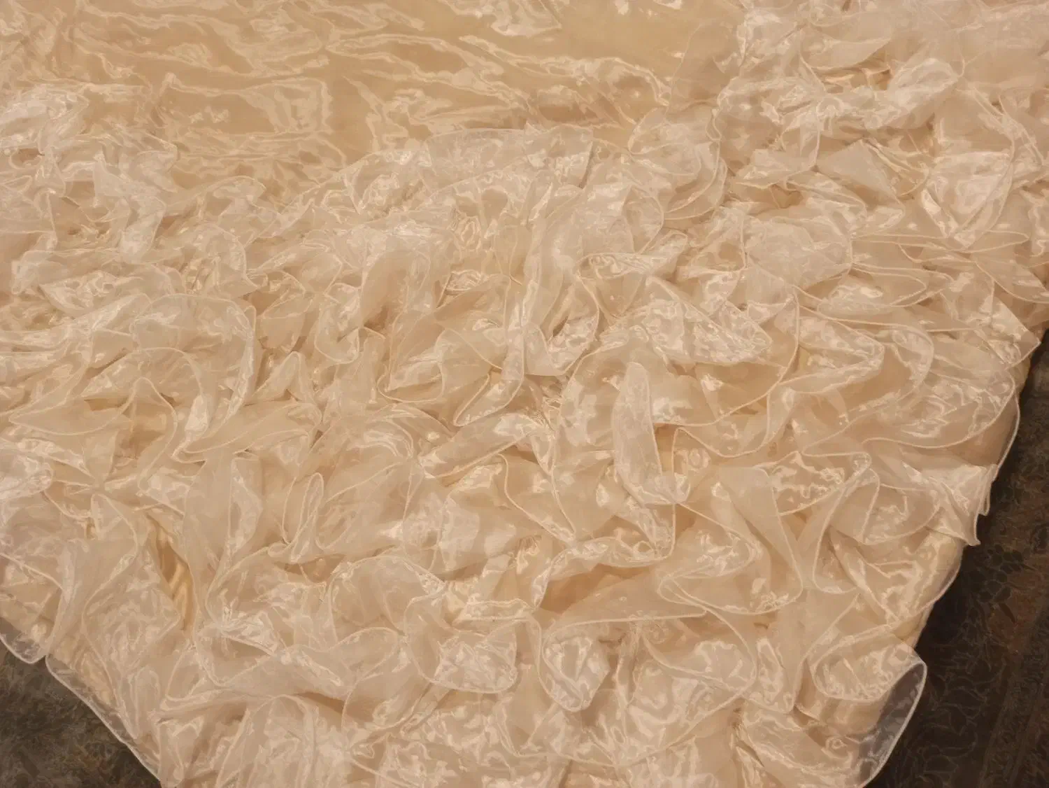 روتختی|سرویس روتختی|اردبیل, |دیوار