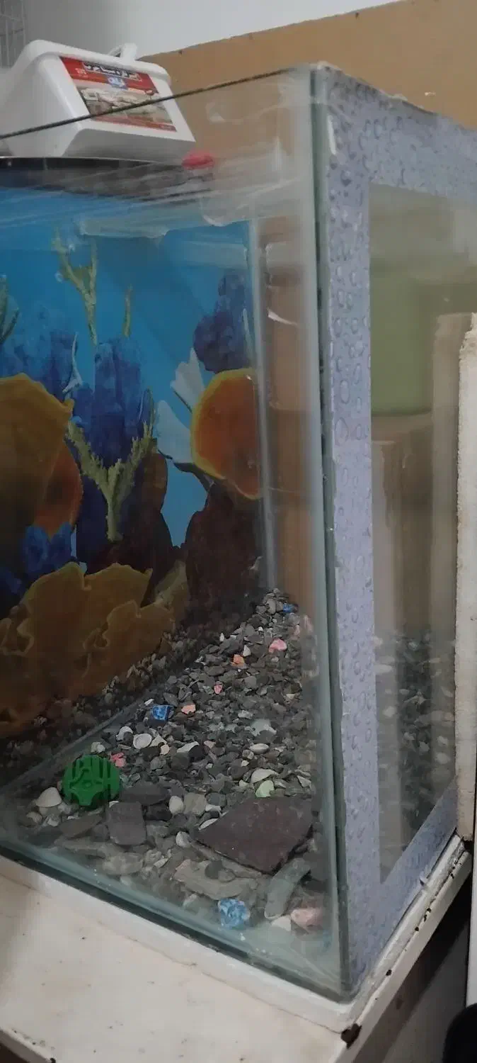 اکواریوم پمپ هوا تسفیه اب|ماهی|بیرجند, |دیوار