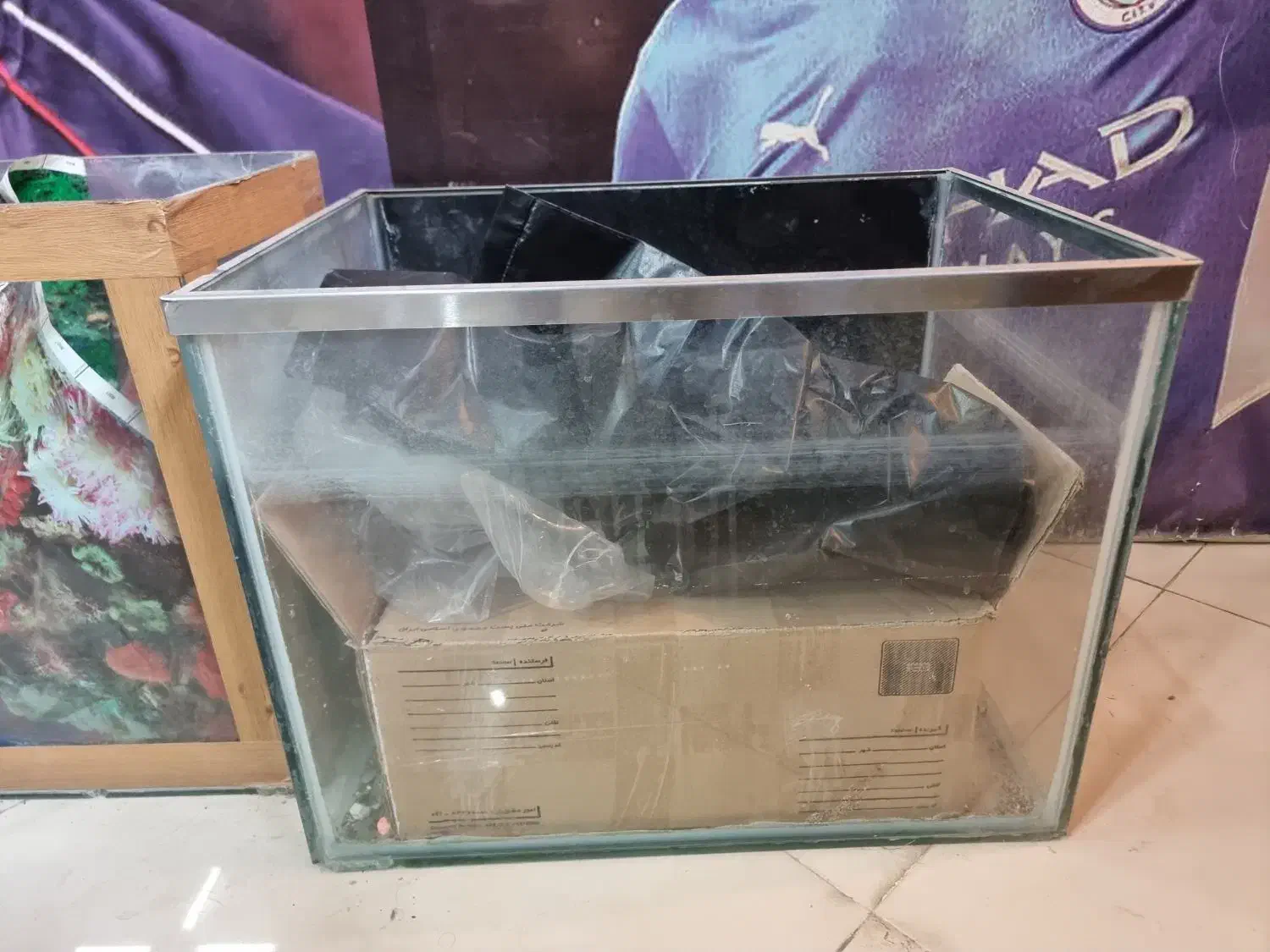 آکواریوم|ماهی|شهرضا, |دیوار