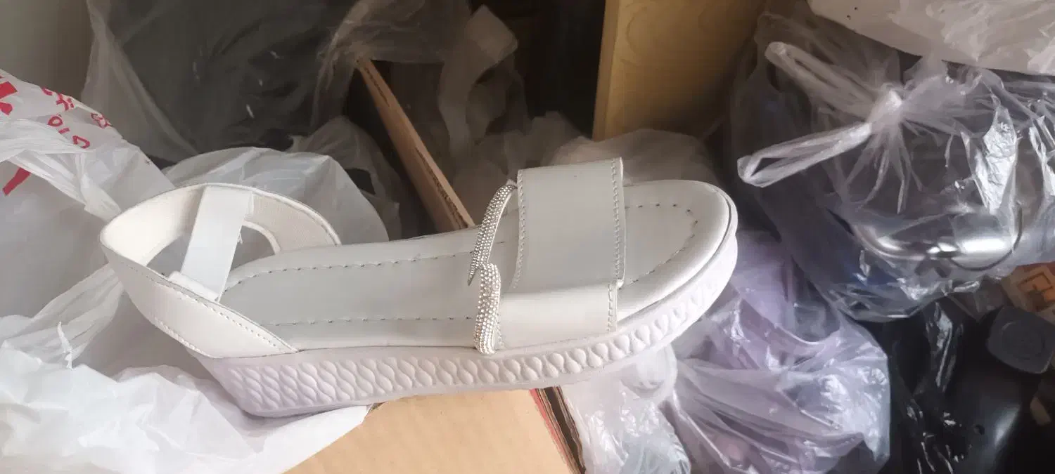 کیف وکفش|کیف، کفش، کمربند|آران و بیدگل, |دیوار