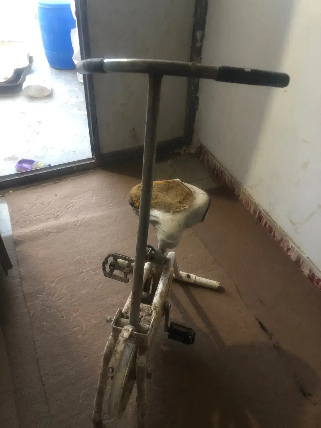 دوچرخه ثابت ورزشی|دوچرخه، اسکیت، اسکوتر|چناران, |دیوار