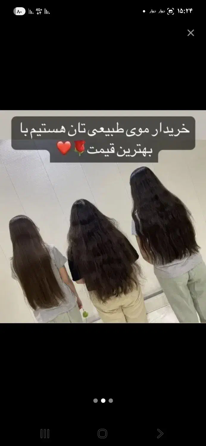 خریدار اصلی مو بدون واسطه مستقیم خام رنگی|خدمات آرایشگری و زیبایی|شیراز, زرهی|دیوار