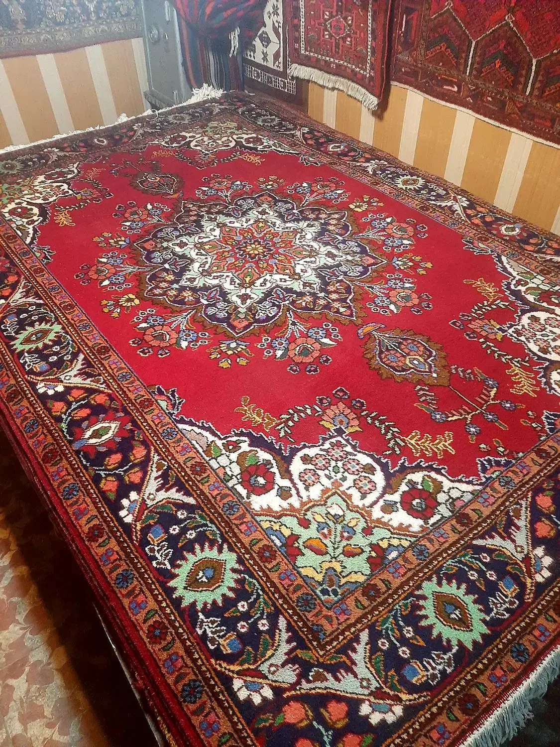 یک جفت ۶متری|فرش|مراغه, |دیوار