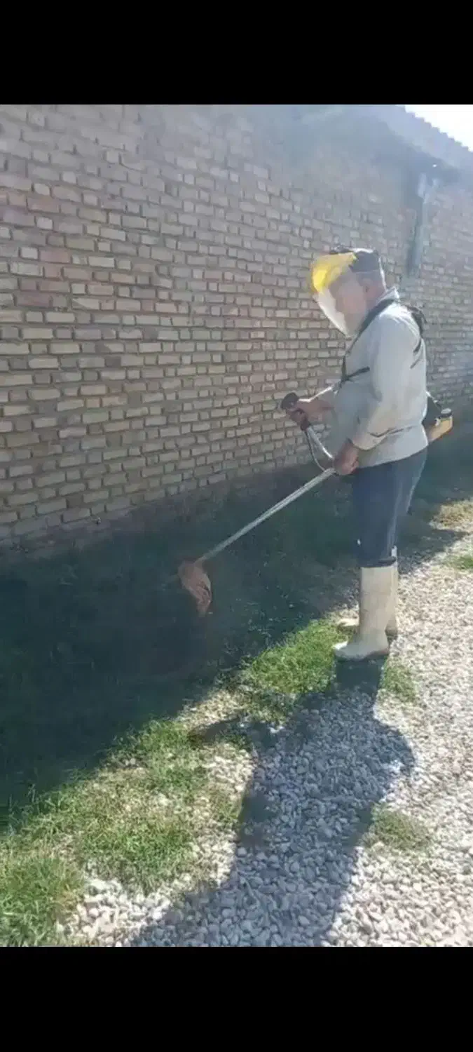 خدمات باغی|خدمات باغبانی و درختکاری|گنبد کاووس, |دیوار