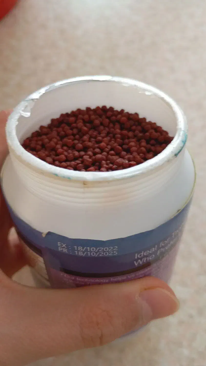 غذای آلمانی هیکاری سیچیلاید.|ماهی|مریوان, |دیوار