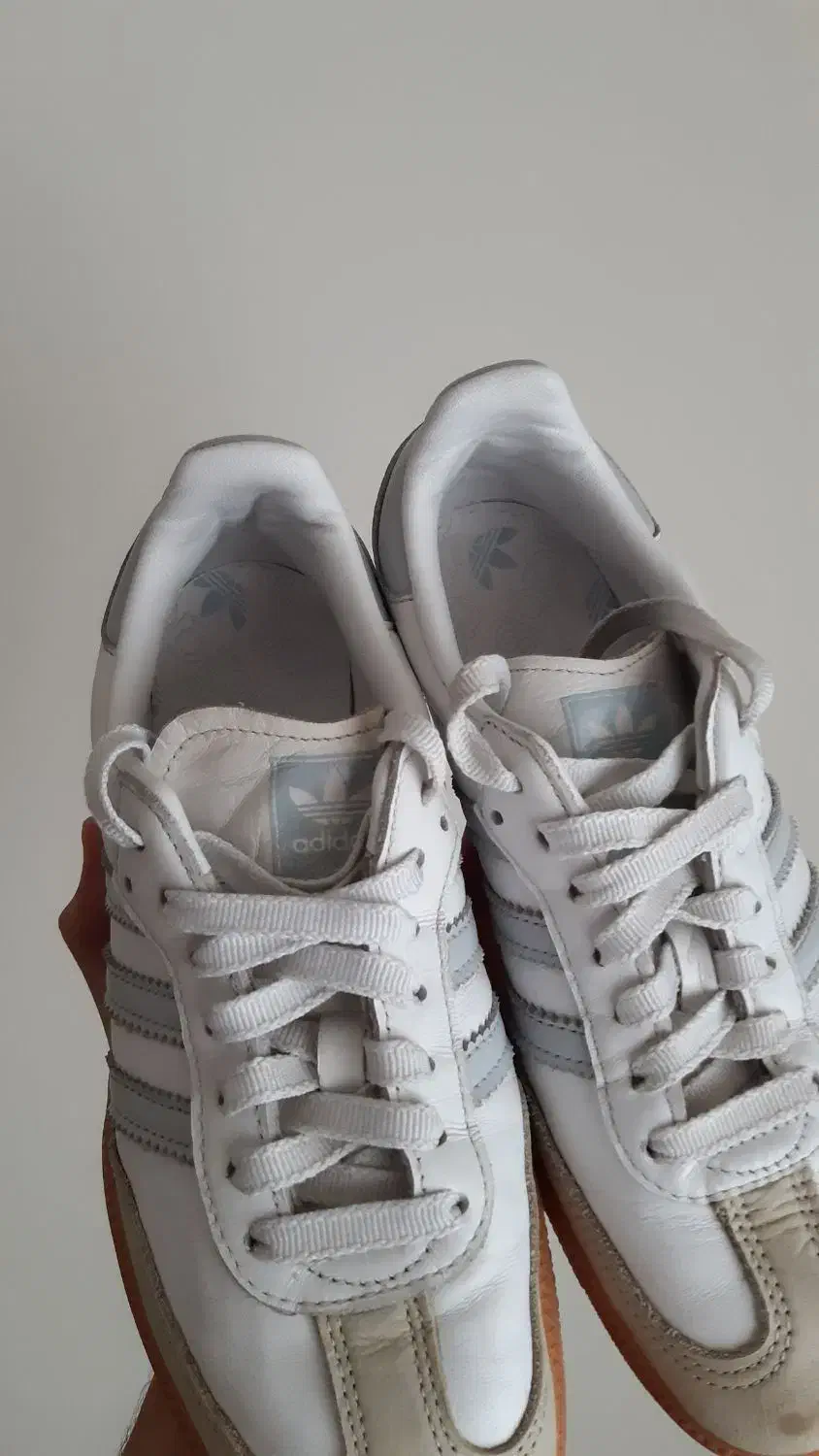 کتونی اورجینال سامبا ۳۸|کیف، کفش، کمربند|قائمشهر, |دیوار