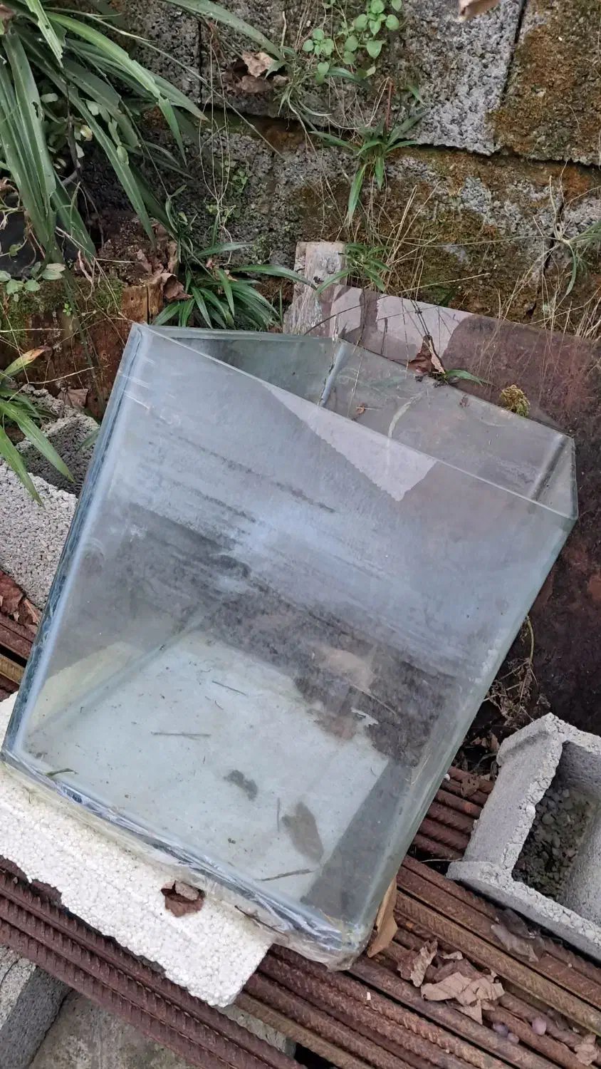 اکواریوم ماهی ۷۲ لیتری|ماهی|رودسر, |دیوار