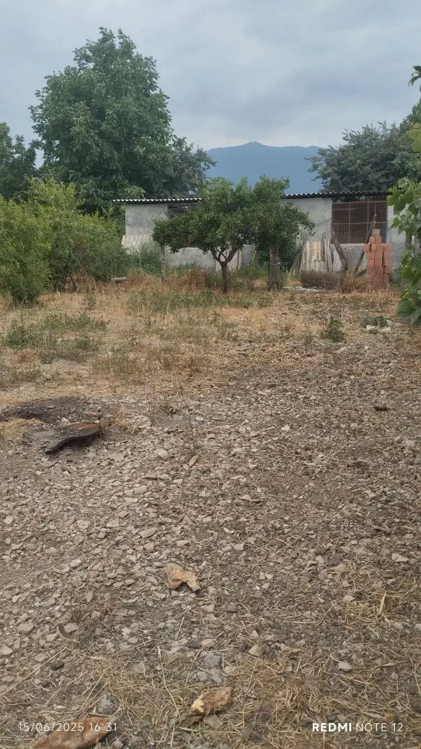 زمین|فروش زمین و ملک کلنگی|بندر گز, |دیوار