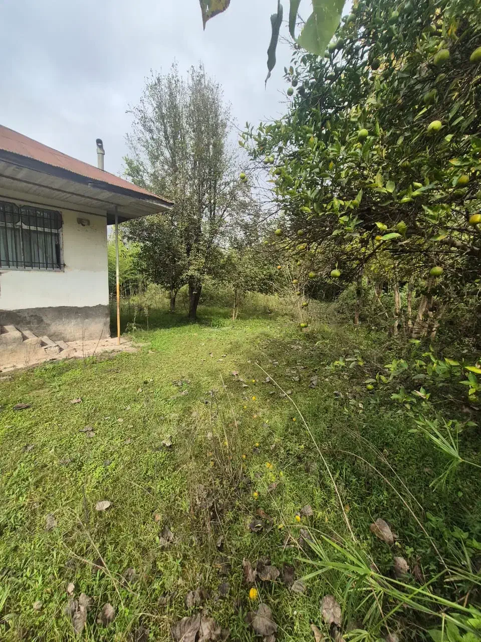 3000متر خانه ویلایی کوچصفهان/سنگر/لولمان|فروش خانه و ویلا|کوچصفهان, |دیوار