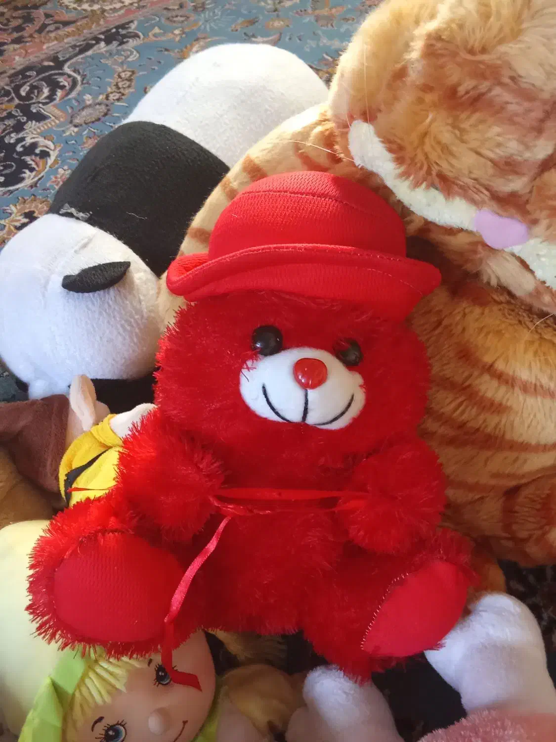 عروسک های زیبا تازه تازه|اسباببازی|سقز, |دیوار