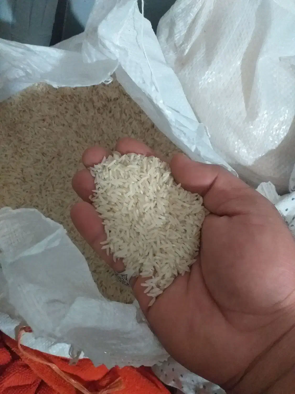 برنج طارم هاشمی گیلان|خوردنی و آشامیدنی|اصفهان, لاله|دیوار