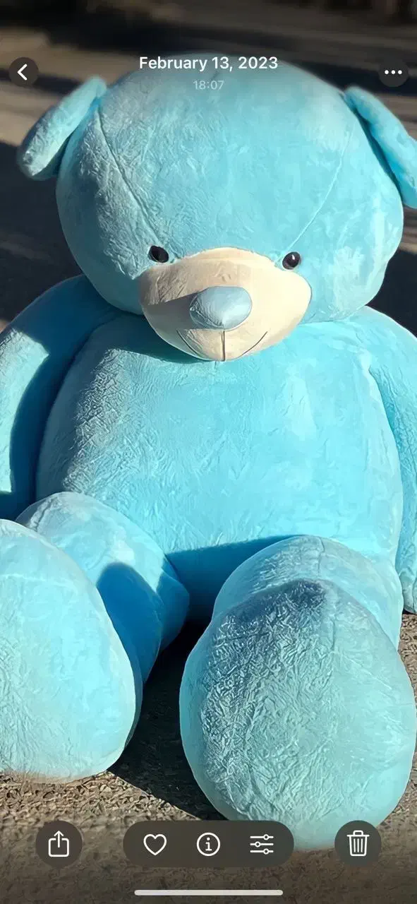 عروسک|اسباب‌‌بازی|مشگین شهر, |دیوار