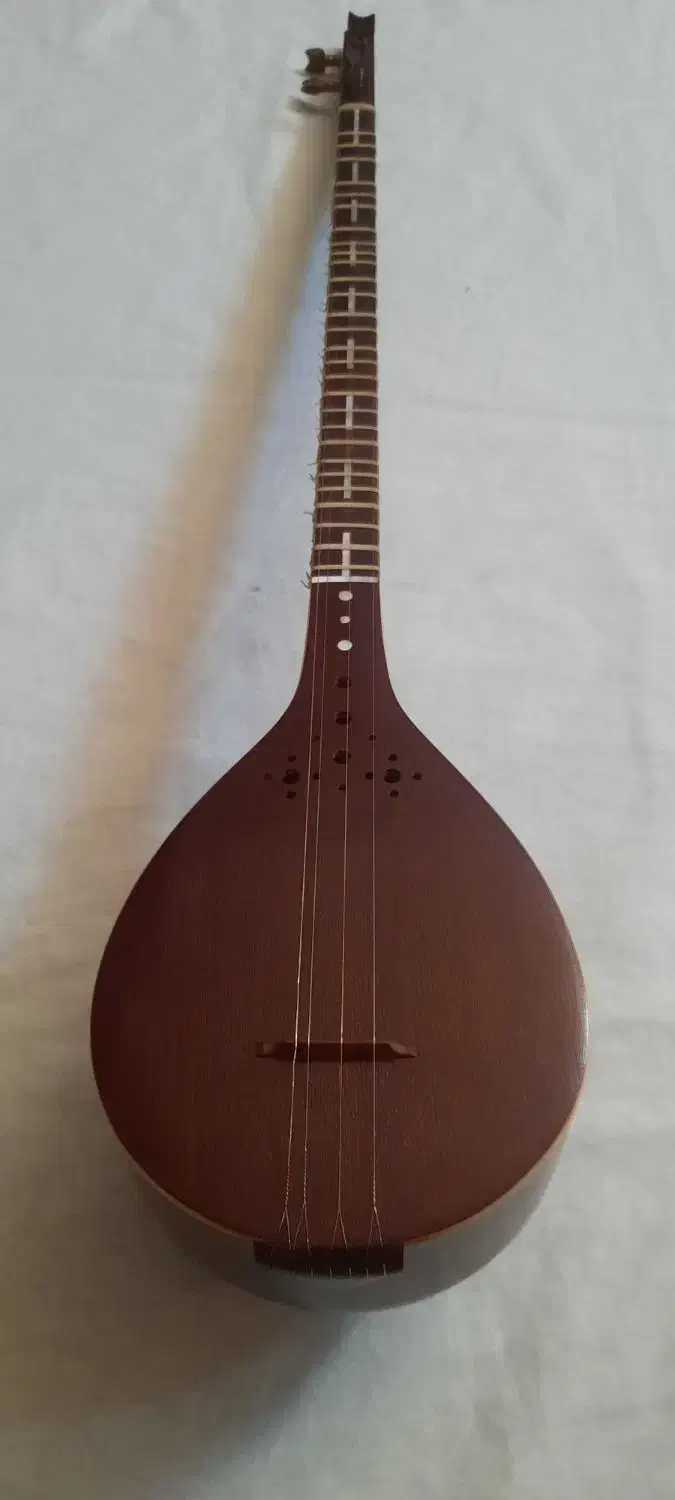 آموزش وتعمیر تاروسه تار، تعویض پوست پرده و سیم|سازهای سنتی|شیراز, پارک آزادی|دیوار