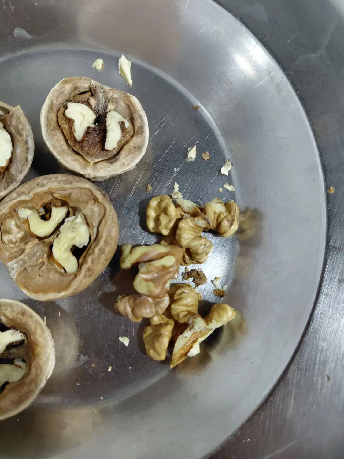 گردوی محلی|خوردنی و آشامیدنی|تهران, گمرک|دیوار