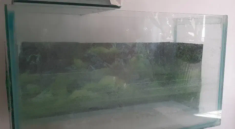 دو عدد اکواریوم|ماهی|شیراز, گویم|دیوار