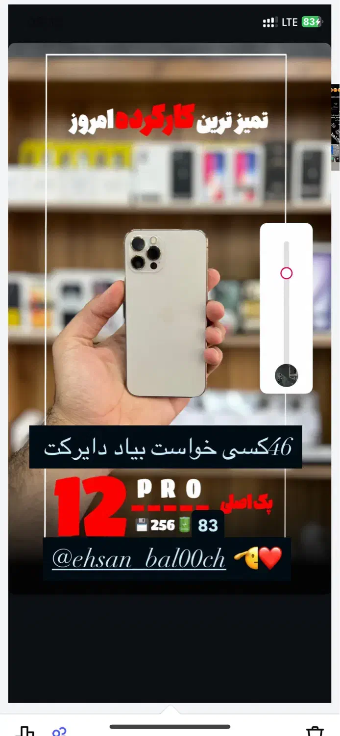 آیفون ۱۲ پرو|موبایل|خاش, |دیوار